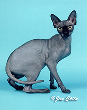 20_Pridesphynx Baris Karloff